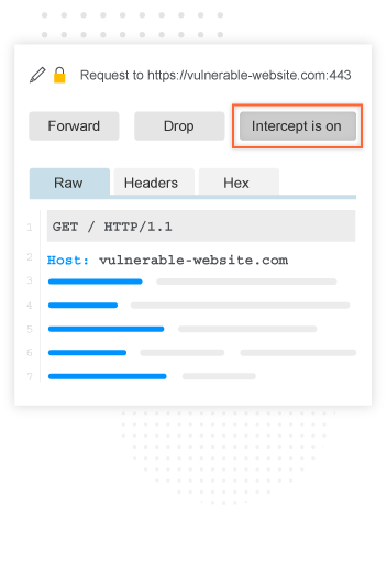 Burp Suite Pro proxy interception