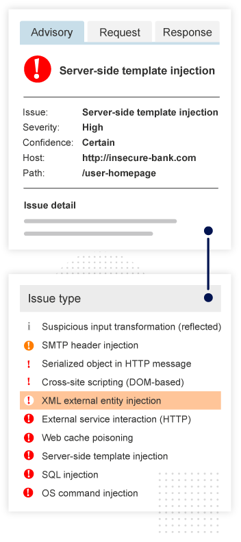 Burp Suite Pro scan results